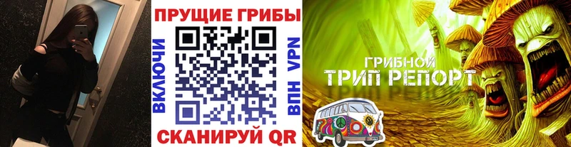 магазин продажи наркотиков  Оленегорск  Псилоцибиновые грибы прущие грибы 